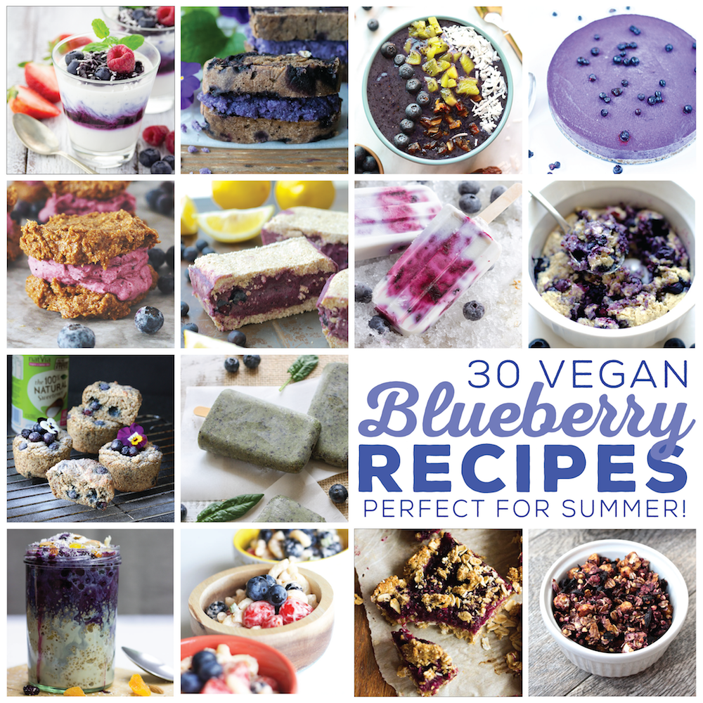 30 Vegan Blueberry Recipes Perfect for Summer