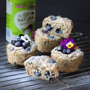 Blueberry Vanilla Oat Bran Muffins - Healthy Eating Jo