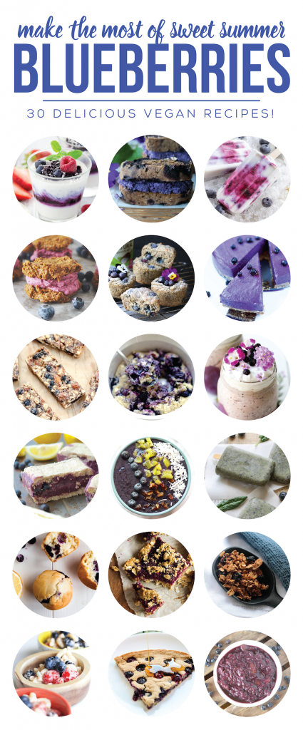 30 Vegan Blueberry Recipes Perfect for Summer