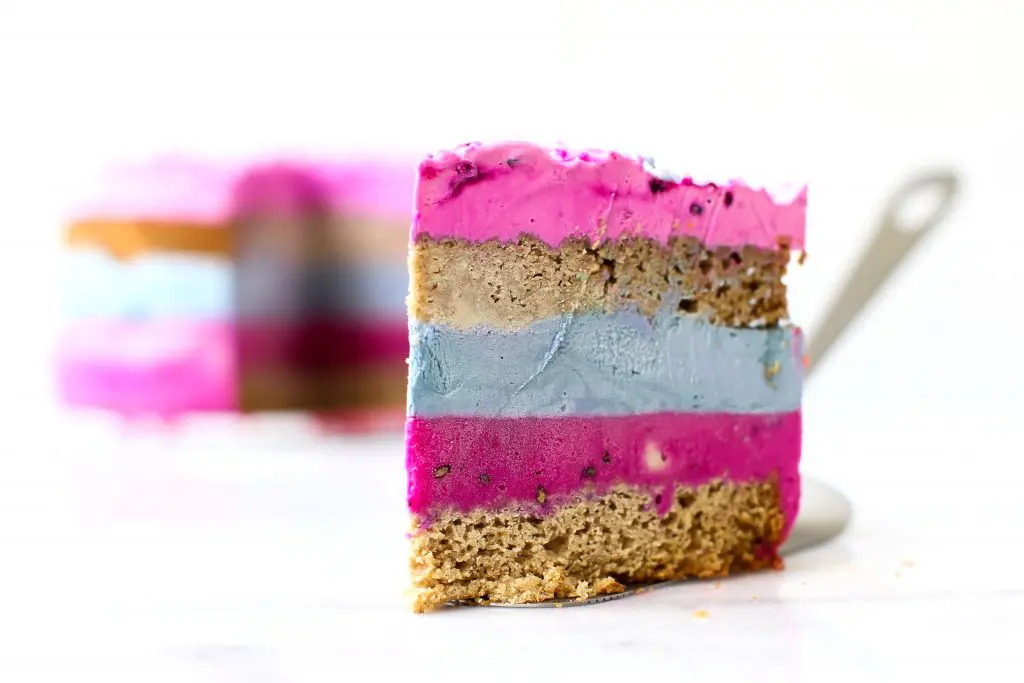 Cotton Candy Cake made with Vegan Ice Cream and Naturally Colored