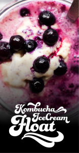 Kombucha Ice Cream Float