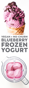 Vegan Blueberry Frozen Yogurt Recipe 